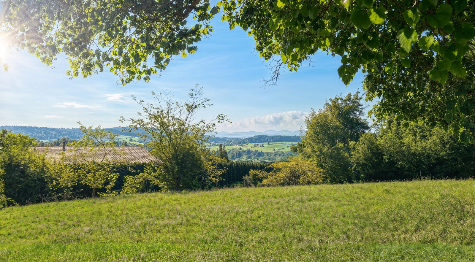 PETERACHER Lage und Ausblick in die Berge.jpeg